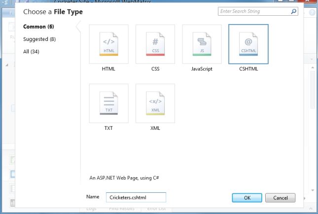 Create CSHTML file